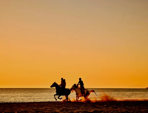 Sunset Horse Riding